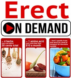 Erect on Demand Review